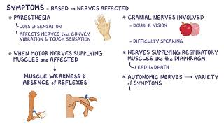 Guillain Barre Syndrome  Osmosis [upl. by Amron]