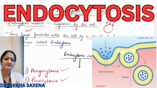 Endocytosis Types Phagocytosis Pinocytosis mechanism clathrin mediated endocytosis [upl. by Daney316]