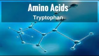 Special Amino Acid Metabolism lecture 5 [upl. by Lednor]