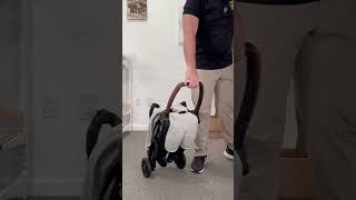 Best Compact Strollers ✈️ stroller [upl. by Ariayek673]