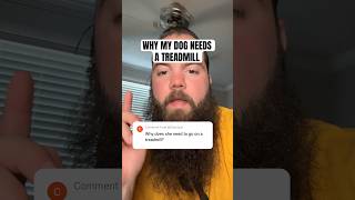 Why my service dog needs a dogpacertreadmill dogsofyoutube [upl. by Georgy]