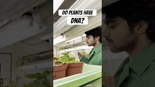 My experiment with Plant DNA 🧬  Tamil Scientist in Germany scienceexperiment tamilsciencechannel [upl. by Rosalynd]