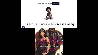 Notorious BIG x Lil Kim  DreamsNo Time Mashup Video  90s Hip Hop Classics Remixed [upl. by Humph]