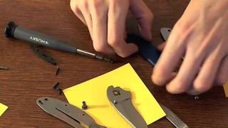 Kershaw scallion disassembly and reassembly [upl. by Australia110]