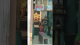 devotionalsongs sivantemple muruganwhatsappstatus murugantemple shortvideo deepamalai [upl. by Inait]