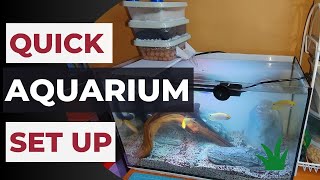 A Quick Tank Setup [upl. by Kilgore]