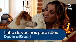 Linha de vacinas para cães Dechra Brasil [upl. by Rox]