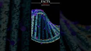 CRISPR Gene Editing Cas9 Technology  Exploring DNA Manipulation biotechnology shorts [upl. by Charry]