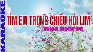 Tìm Em Trong Chiều Hội Lim Karaoke Song Ca Thiếu giọng nữ [upl. by Gwyneth233]