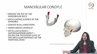 TMJ Anatomy amp Function [upl. by Knut]