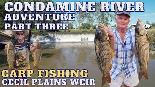 CONDAMINE RIVER ADVENTURE PART 3 CARP FISHING HOW TO CATCH CARP CECIL PLAINS WEIR [upl. by Baal]