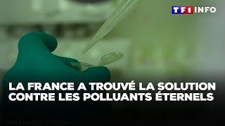 Polluants éternels  et si la France avait trouvé la solution  ｜TF1 INFO [upl. by Liddy]