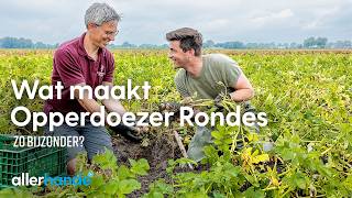 Wat maakt de Opperdoezer Ronde zon bijzondere aardappel  Lekker uit Nederland  Allerhande [upl. by Halfdan]