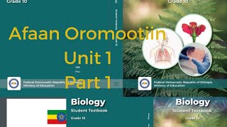 Biology grade 10 unit 1 subfields of Biology by Afaan Oromoo [upl. by Ettelegna38]