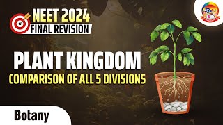 Plant Kingdom Comparison of all 5 divisions  NEET 2024 Final Revision  srichaitanyagosala [upl. by Alain308]