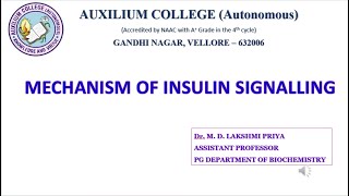 Insulin signalling pathway [upl. by Aliuqet]