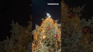 First Christmas Tree Lighting in Greece Celebrated in Halkidiki [upl. by Abagael]