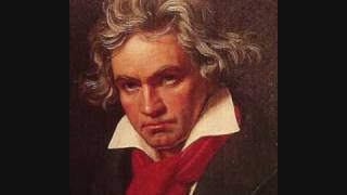 9th Symphony of Beethoven 2nd Movement [upl. by Astra]