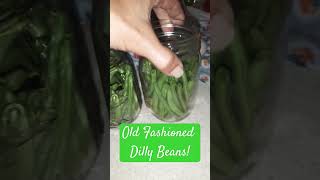 Old Fashioned Dilly Beans New Canning Recipe homestead recipe recipes easyrecipe beans howto [upl. by Brinkema456]