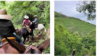 VIVÍ ALGO EXTREMO POR ENTRE BRECHAS Y VEREDAS DE TEGORIPA A SURUTATO 🌲🤠🌳🐴🎥 [upl. by Artie106]