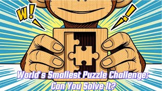 Worlds Smallest Puzzle Challenge Can You Solve It  TheBigToyAuctioncom Preview [upl. by Ardnekahs]