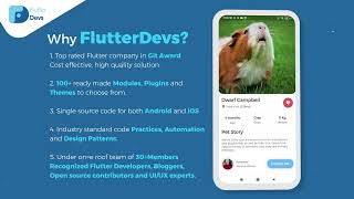 Flutter Pet Finder App [upl. by Greenberg662]