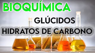 12¿Está bien dicho HIDRATO DE CARBONO  GLÚCIDOS [upl. by Ajuna13]