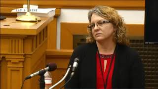 Zachary Koehn Murder Trial Day 2 Part 3 Sheila Schroeder Testifies [upl. by Blondelle]