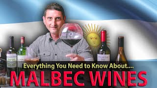 What is MALBEC What You NEED TO KNOW about this Wine [upl. by Kenneth857]