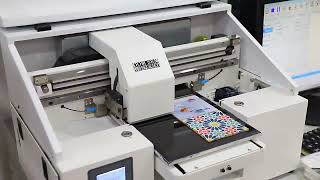 Small Size A4 UV Printer For Starter Printing Busines uvprinter [upl. by Kirima]