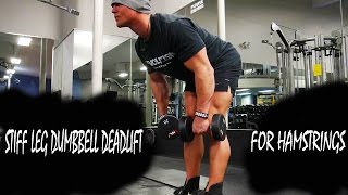 Stiff Leg Hamstring Deadlift With Dumbbells [upl. by Japheth818]