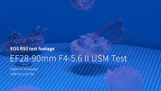 EOS R50 test footage  EF2890mm F456 II USM Test [upl. by Shalne285]