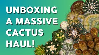 A Collectors Dream Unboxing Over 40 Unique Cacti 🌵 [upl. by Adalard]