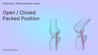 Open Packed Position amp Closed Packed Position  Biomechanics  Study with Amna [upl. by Demmy]