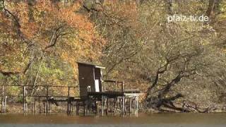 Entspannen  Relaxen  Träumen  Ein stürmischer Novembertag am See  Lizenzfreie Footage [upl. by Eph562]