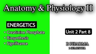 CREATININE PHOSPHATE  SYNTHESIS OF CREATININE PHOSPHATE  ROLE  ENERGETICS  UNIT 2  B PHARMA [upl. by Hiltner]