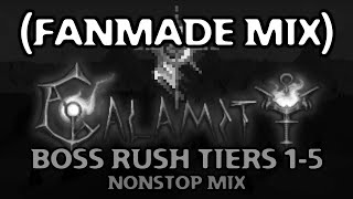 Terraria Calamity Mod  Boss Rush Tiers 15 Nonstop TheTrester Mix [upl. by Grimes]