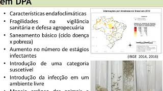 Aula Parasitologia  Fundamentos em doenças parasitárias dos animais [upl. by Aitropal83]