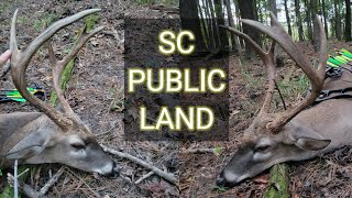 Deer Hunting South Carolina 2023  Ep 1  PUBLIC LAND  Bowhunting  deerhunting [upl. by Eckel]