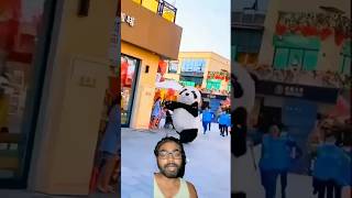 panda pandalover funny cute bear pets bajrangbacomedyfilms talkingtomandfriandcomedymov [upl. by Arhat809]