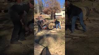 Girlfriend amp I cutting with a twin cylinder disston 211 two man chainsawAndy p’s saw fest 2024 [upl. by Brotherson914]