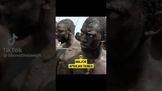 5 Major African Slave Tribe nicaragua jamaica aruba africa slaves history historyfacts [upl. by Drallim309]