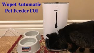 My DIY Pet Peeder VS Wopet Sprite 7L Automatic Pet Feeder by TicTac Tech [upl. by Hebe920]