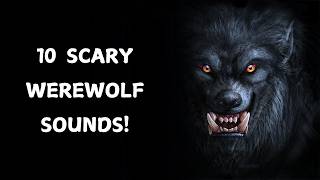 10 Werewolf Sound Effects  Scariest werewolf sounds [upl. by Lambert]