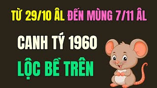 Tử Vi Tuổi Canh Tý 1960 Từ ngày 29 tháng 10 âm lịch đến Mùng 7 tháng 11 âm lịch Nhận lộc Bề trên [upl. by Dralliw]