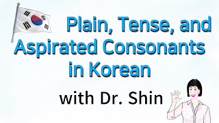 04 Plain Tense and Aspirated Consonants 평음 경음 격음 [upl. by Crista798]