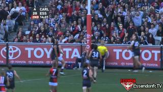 Dustin Fletcher Long Bomb Goal vs Carlton  Round 4 2011 [upl. by Aneleairam]