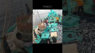 deep sea fishing in Aceh Indonesia KAMOKA FISHING [upl. by Emil]