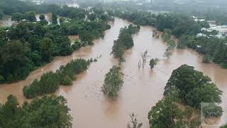 Bellingen flood30032022 [upl. by Odel]