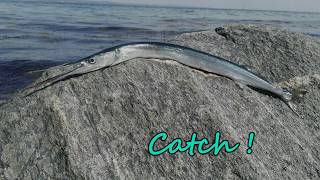 Catch´n cookHornhecht [upl. by Babs]